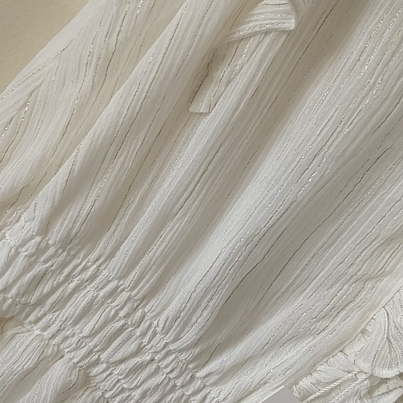 NWT Rebecca Taylor gauzy metallic dress - Picture 4 of 12